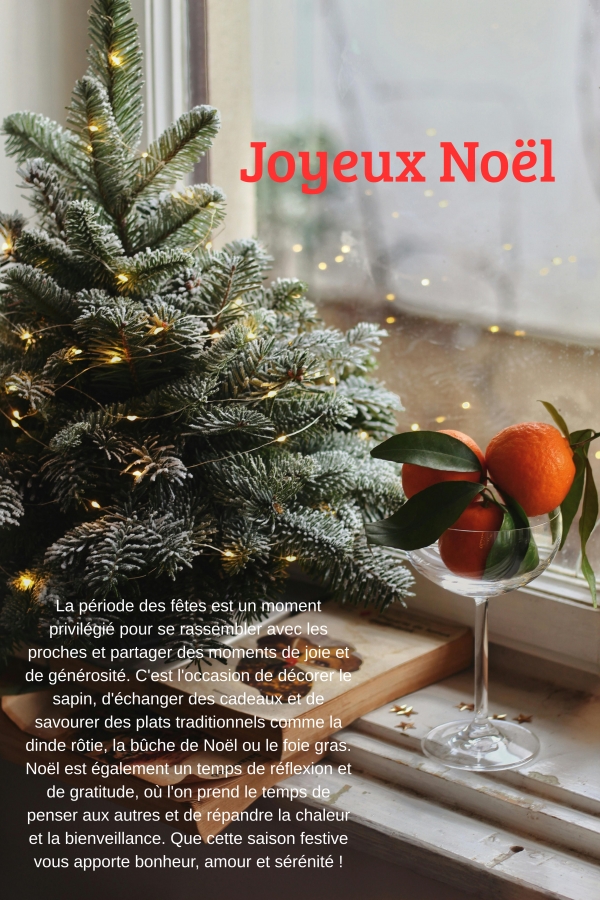 Joyeux No&euml;l